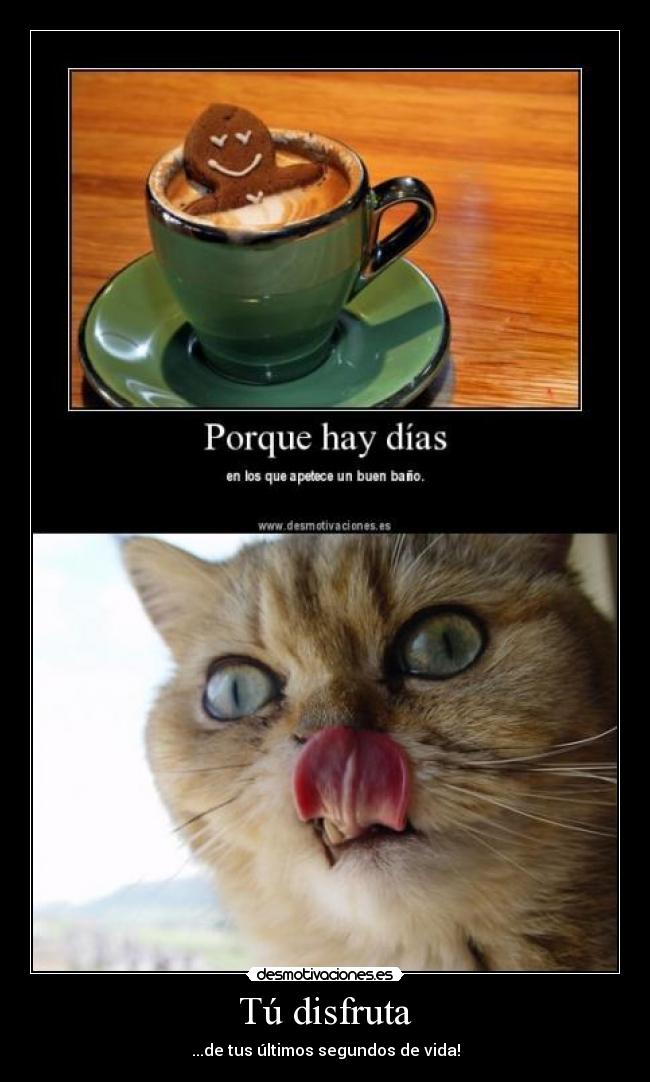 Tú disfruta - ...de tus últimos segundos de vida!