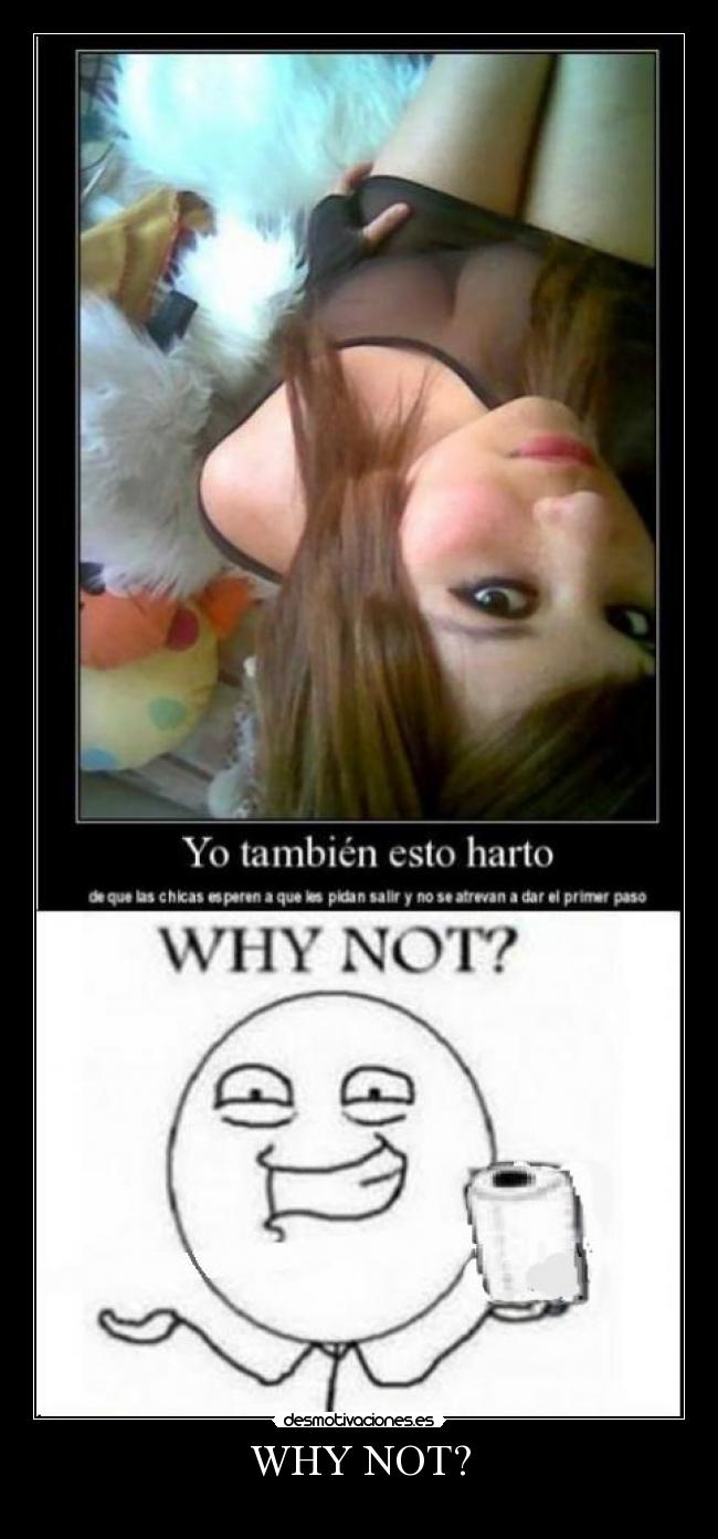 carteles why not desmotivaciones