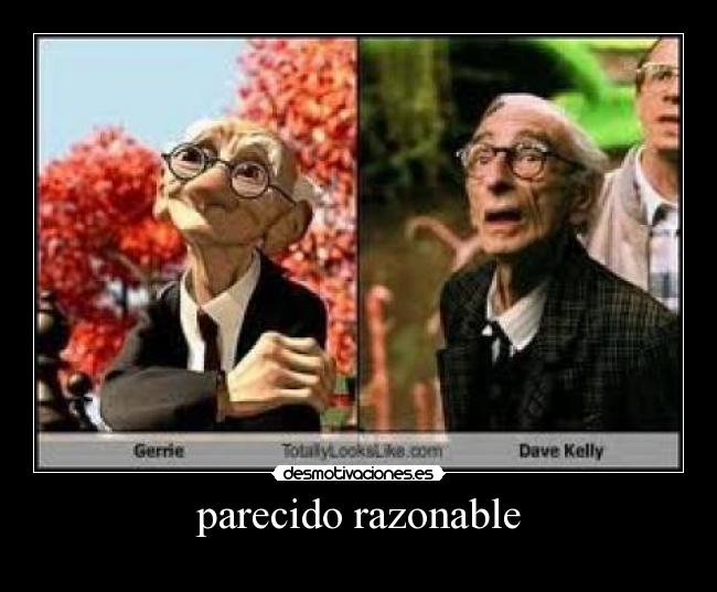 parecido razonable -