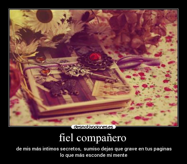 carteles diario desmotivaciones