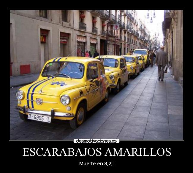 ESCARABAJOS AMARILLOS -