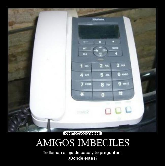 AMIGOS IMBECILES - 