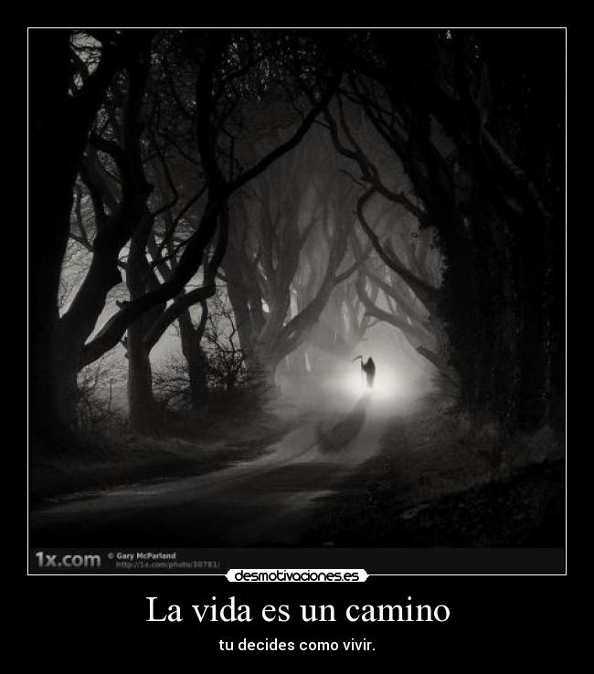 La vida es un camino - tu decides como vivir.