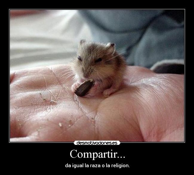Compartir... - 