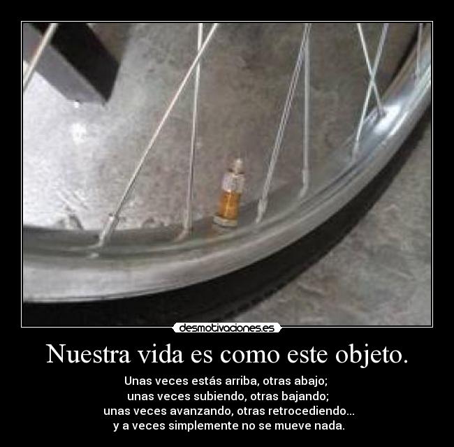 carteles vida vida desmotivaciones