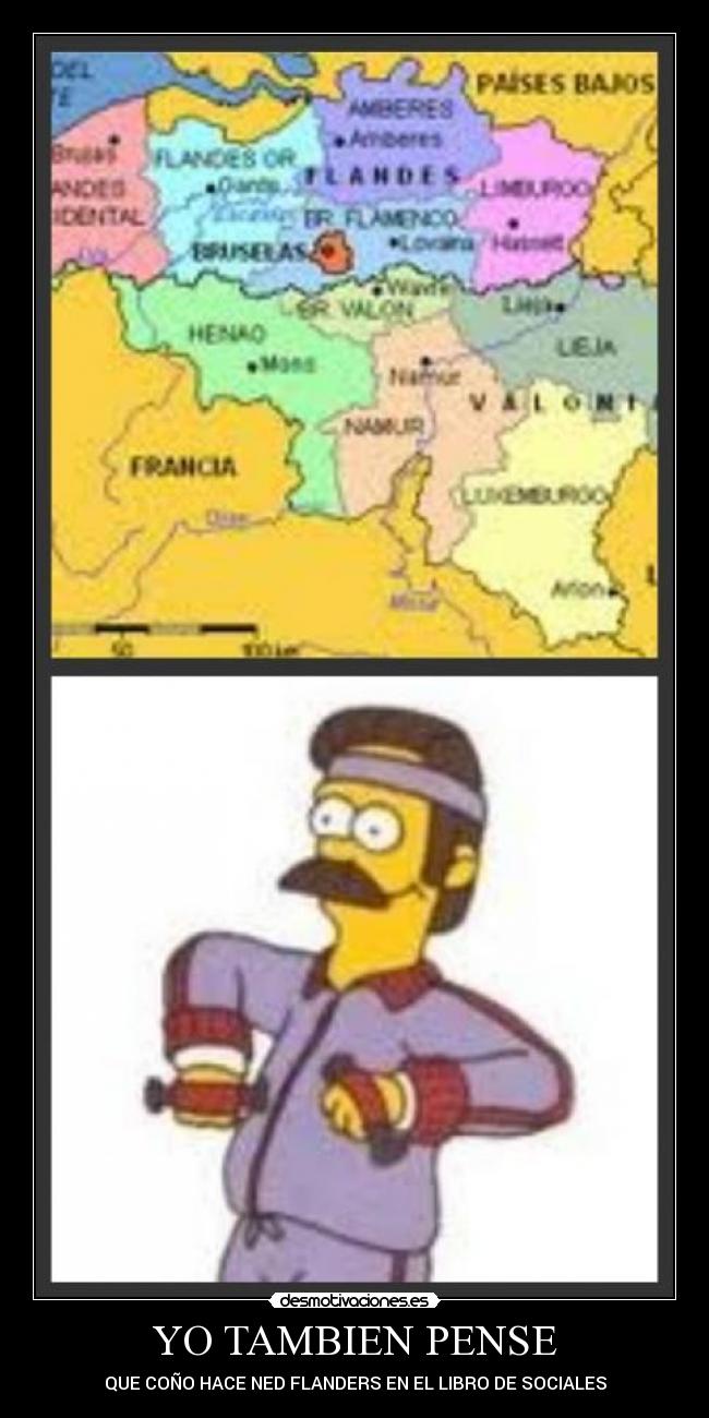 YO TAMBIEN PENSE - QUE COÑO HACE NED FLANDERS EN EL LIBRO DE SOCIALES