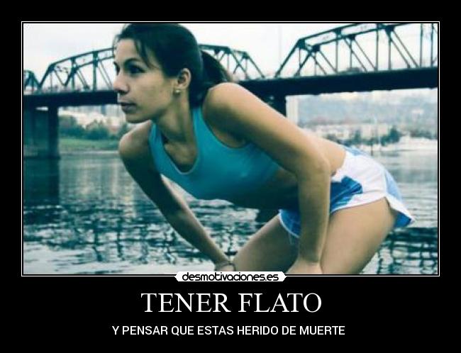 carteles flato desmotivaciones