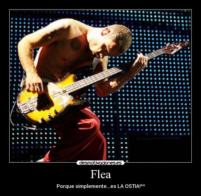 Flea -