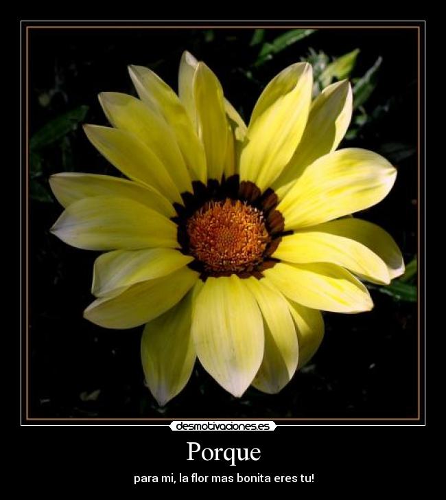 Porque - para mi, la flor mas bonita eres tu!