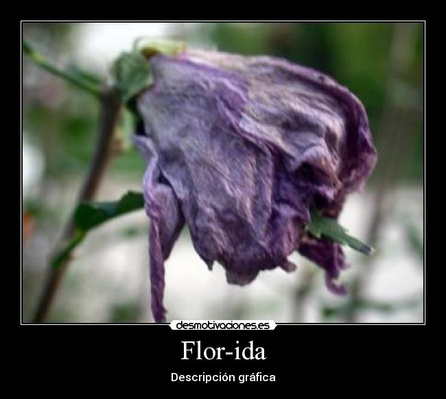 Flor-ida -