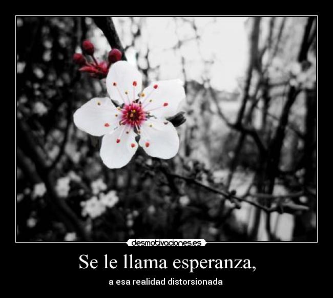 carteles esperanza esperanza desmotivaciones