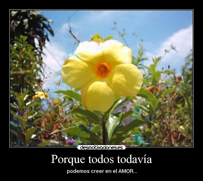 Porque todos todavía -