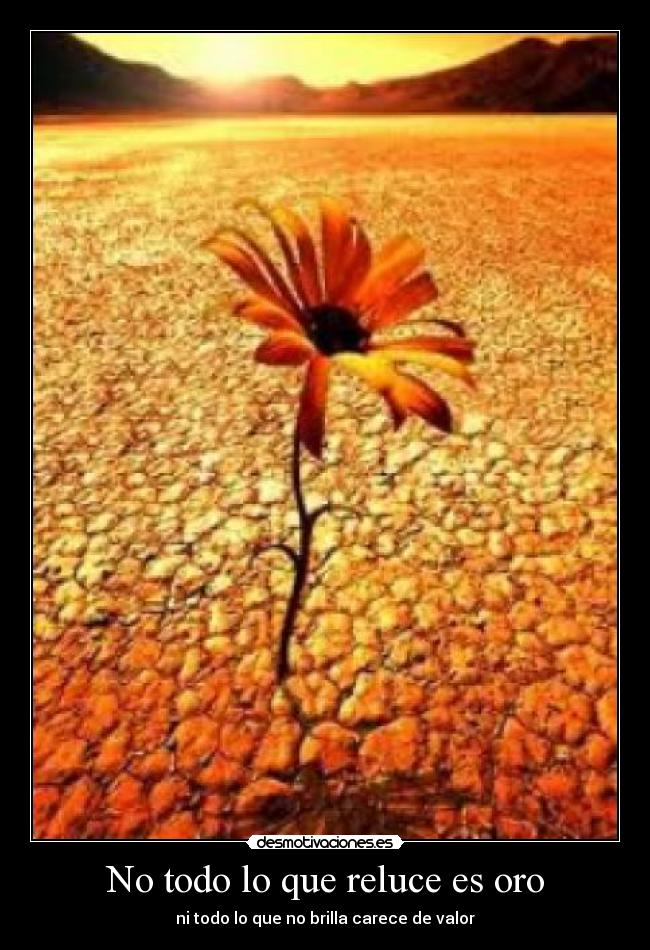 No todo lo que reluce es oro -