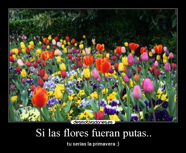 Si las flores fueran putas.. - tu serías la primavera :)
