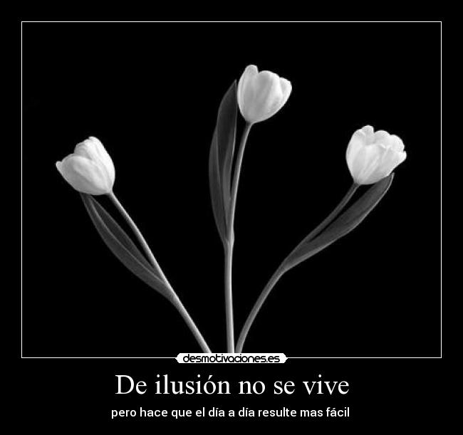 De ilusión no se vive - pero hace que el día a día resulte mas fácil 