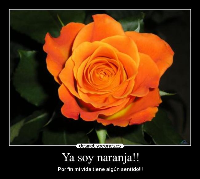 Ya soy naranja!! - Por fin mi vida tiene algún sentido!!!