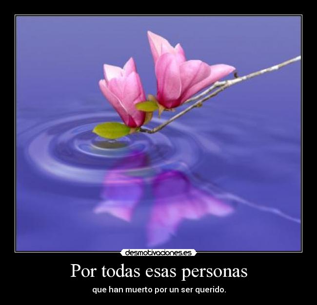 carteles muerte desmotivaciones