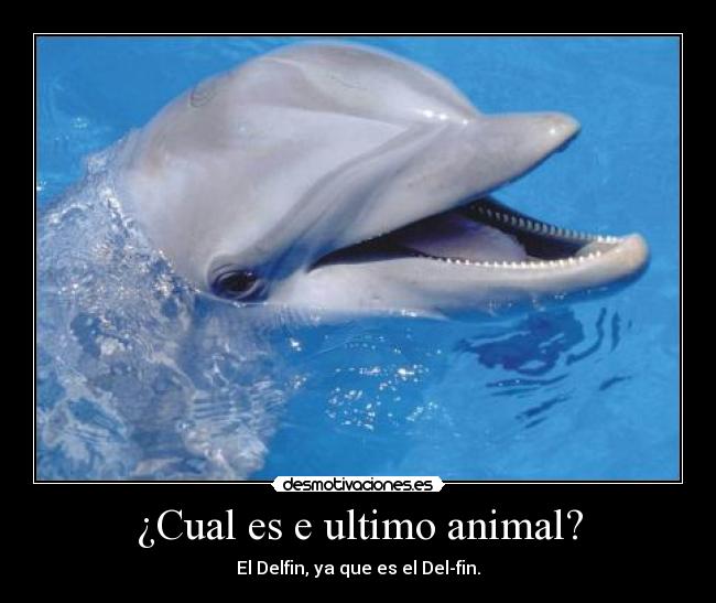 ¿Cual es e ultimo animal? - 
