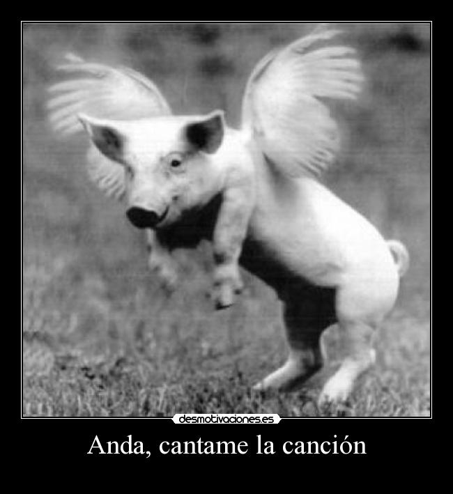 Anda, cantame la canción -