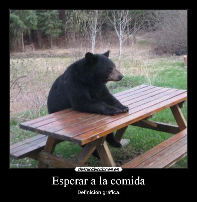 Esperar a la comida -