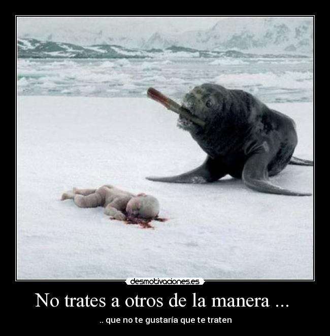 No trates a otros de la manera ... - .. que no te gustaría que te traten