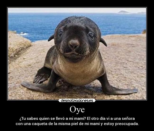 Oye -