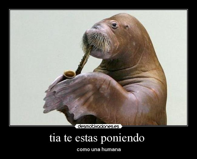 tia te estas poniendo - como una humana