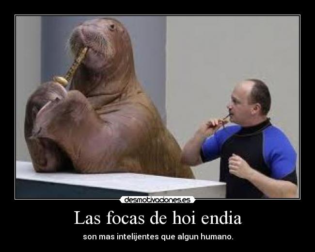 carteles 546484 desmotivaciones