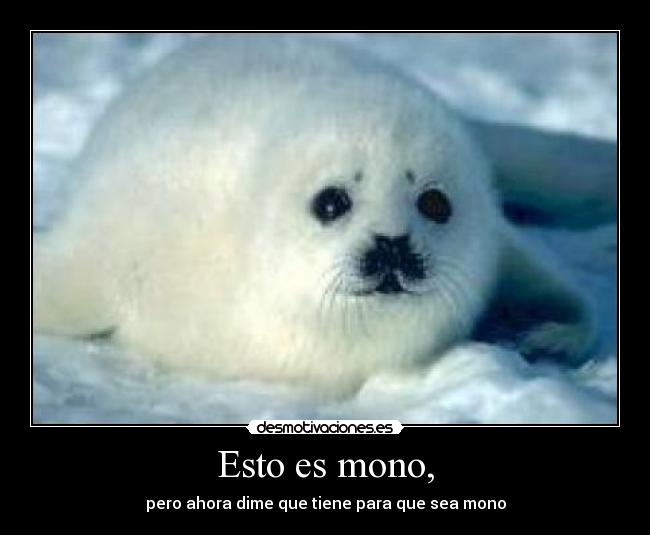 Esto es mono, - 