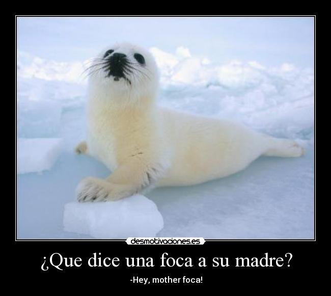 ¿Que dice una foca a su madre? - -Hey, mother foca!