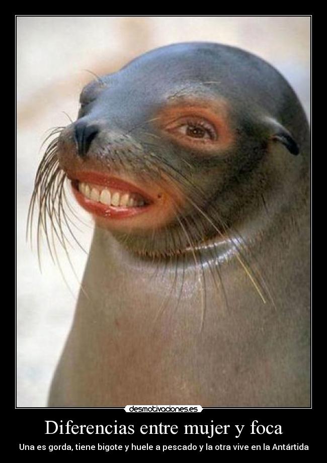 Diferencias entre mujer y foca - 