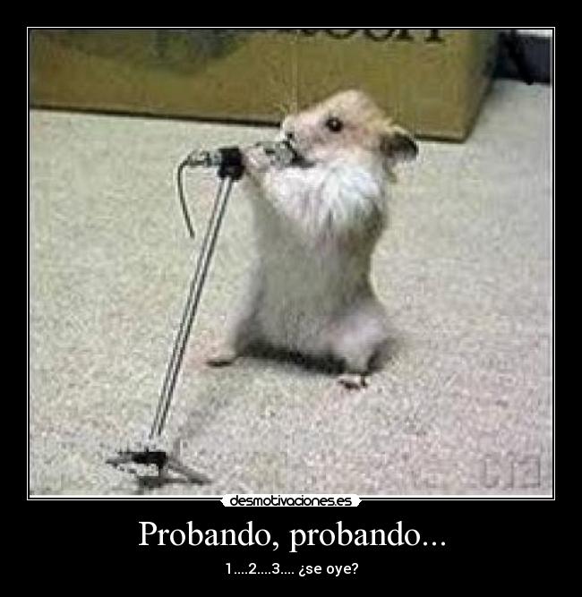 Probando, probando... -