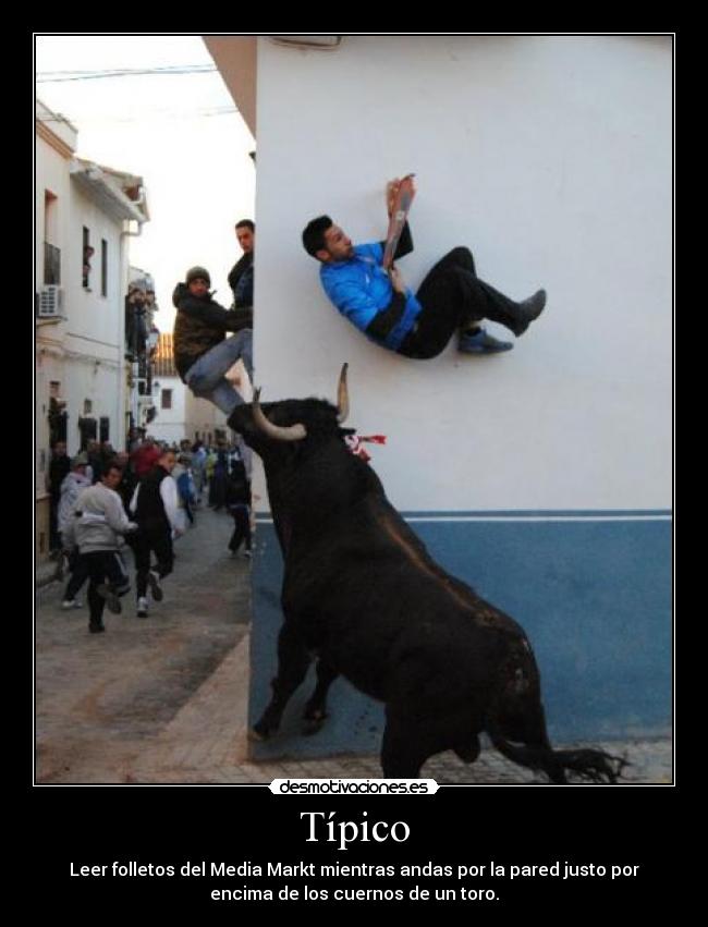 Típico - Leer folletos del Media Markt mientras andas por la pared justo por
encima de los cuernos de un toro.