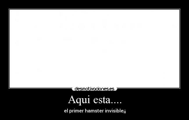 Aqui esta.... - el primer hamster invisible¡¡