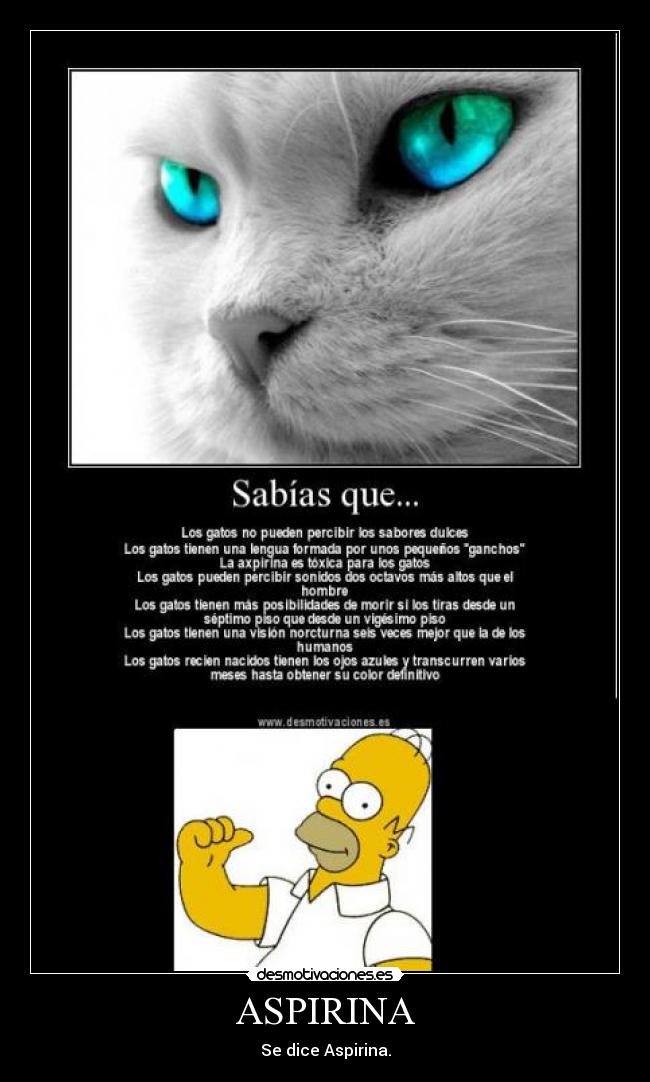 ASPIRINA - Se dice Aspirina.