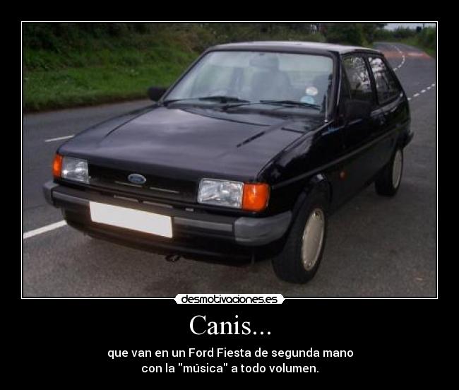 Canis... - que van en un Ford Fiesta de segunda mano
con la música a todo volumen.