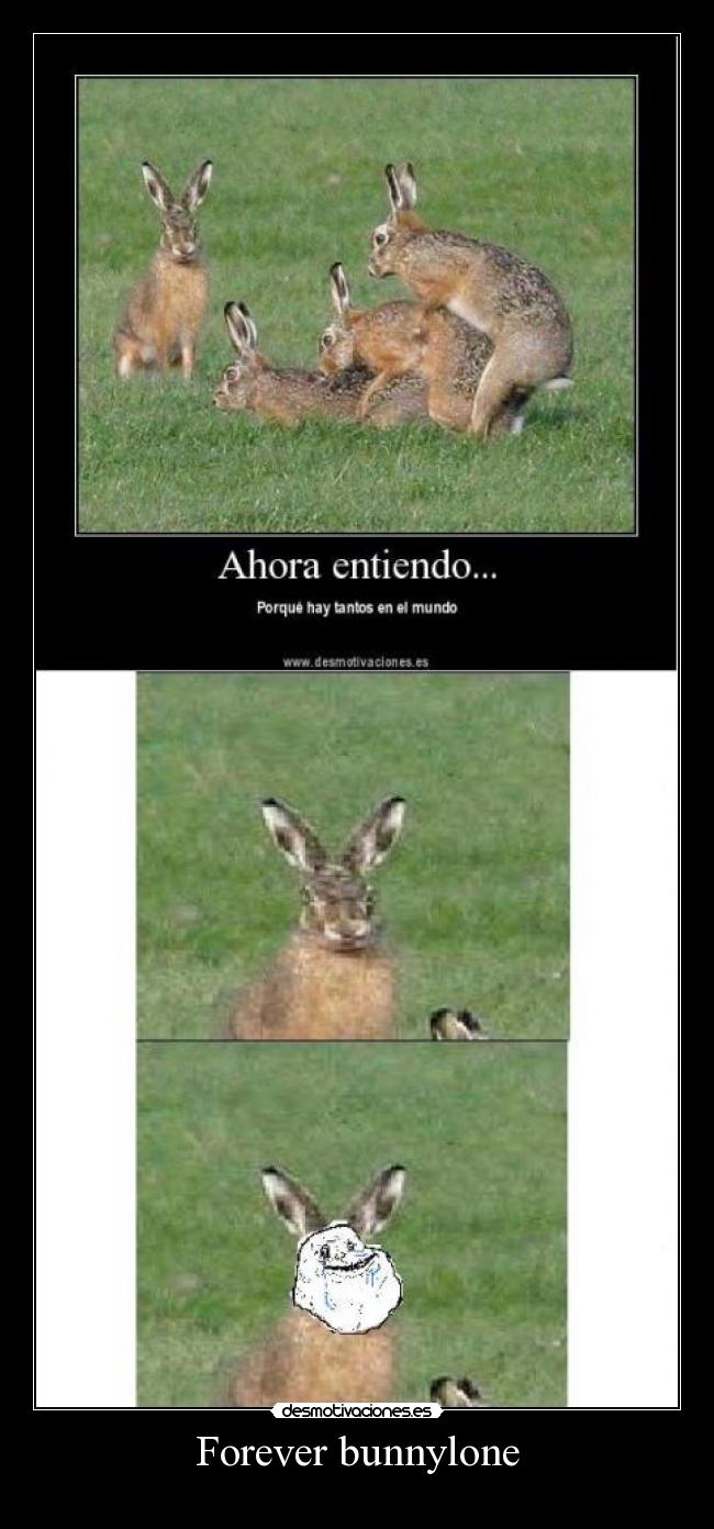 Forever bunnylone - 