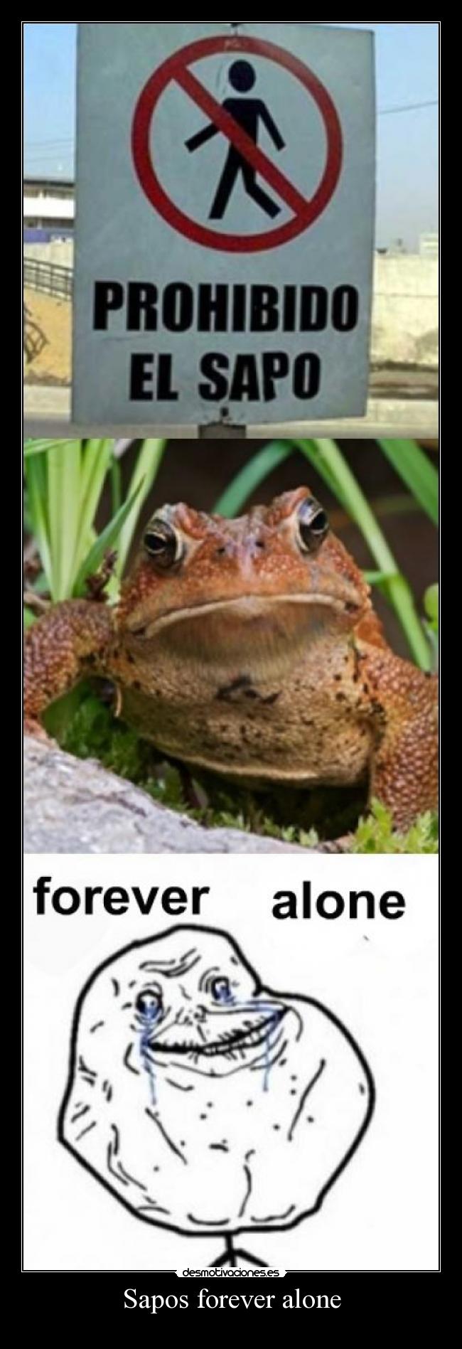 Sapos forever alone - 