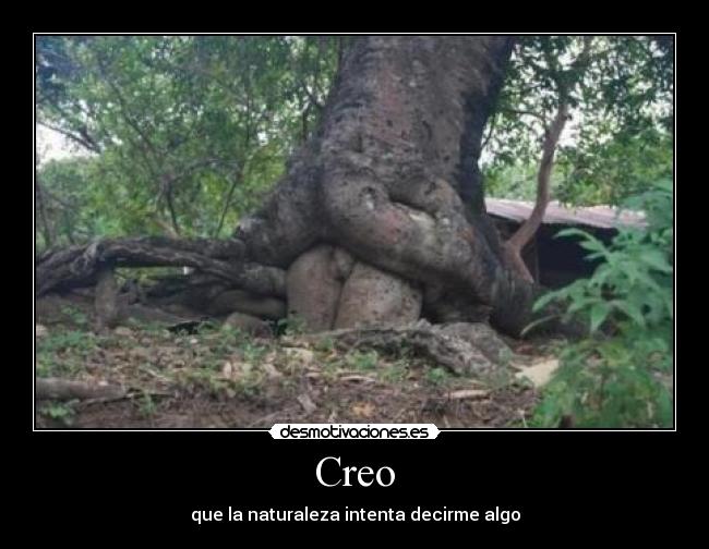 Creo - que la naturaleza intenta decirme algo