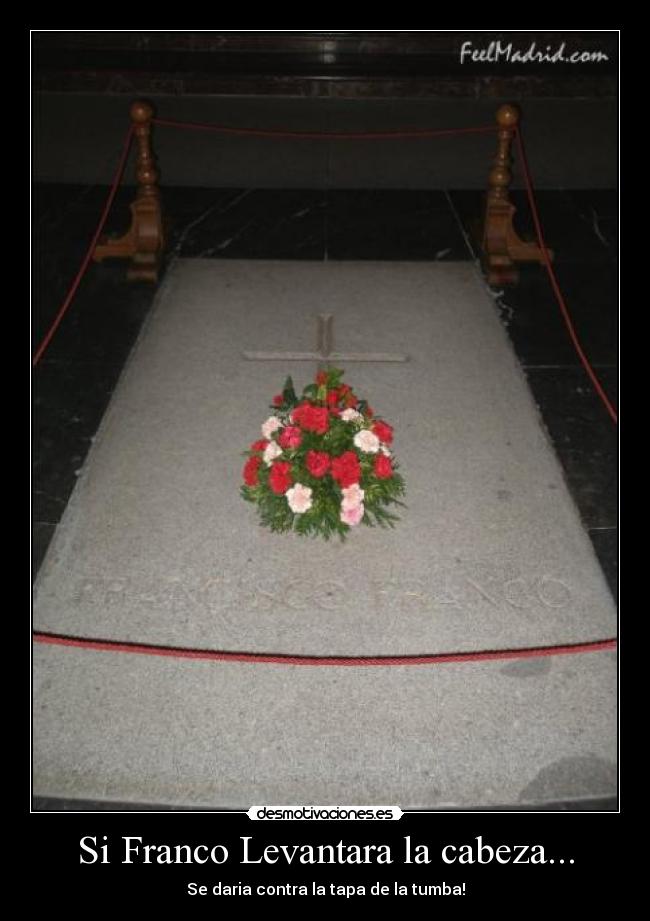 Si Franco Levantara la cabeza... - 