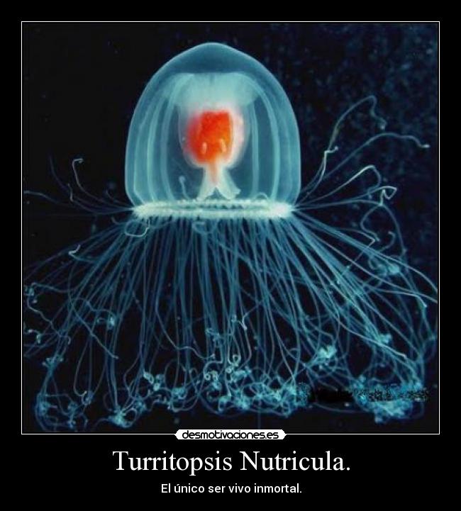 carteles bbbbbbbbr desmotivaciones