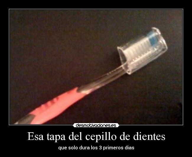 Esa tapa del cepillo de dientes -