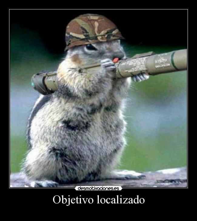 Objetivo localizado - 