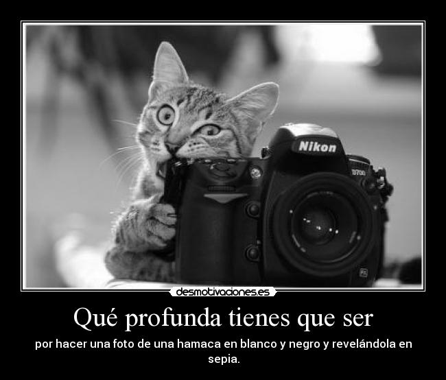 Qué profunda tienes que ser - por hacer una foto de una hamaca en blanco y negro y revelándola en sepia.