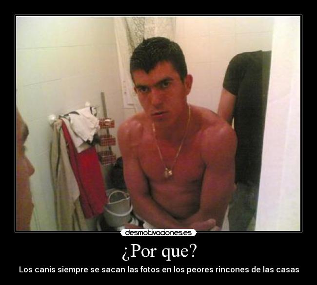 ¿Por que? - Los canis siempre se sacan las fotos en los peores rincones de las casas