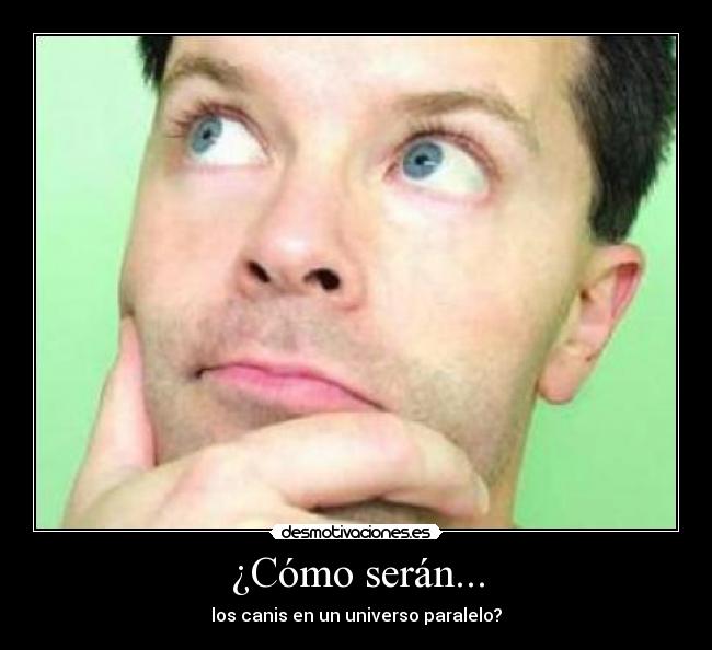 ¿Cómo serán... - los canis en un universo paralelo?