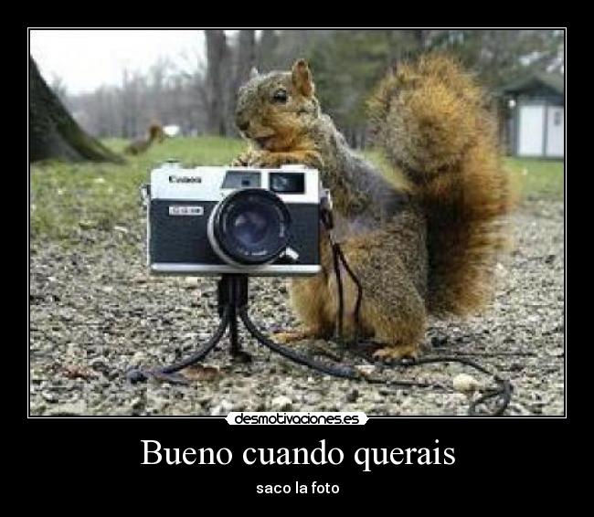 Bueno cuando querais - 