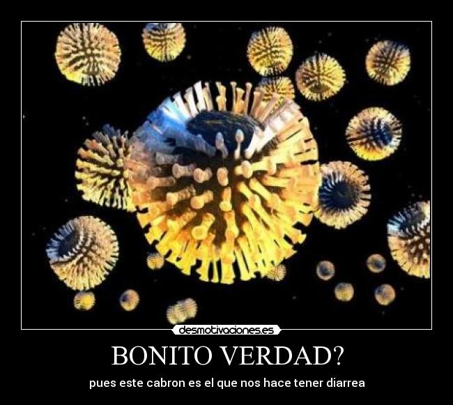 BONITO VERDAD? -