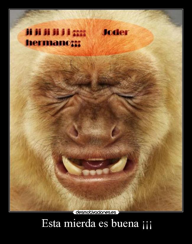 Esta mierda es buena ¡¡¡ - 