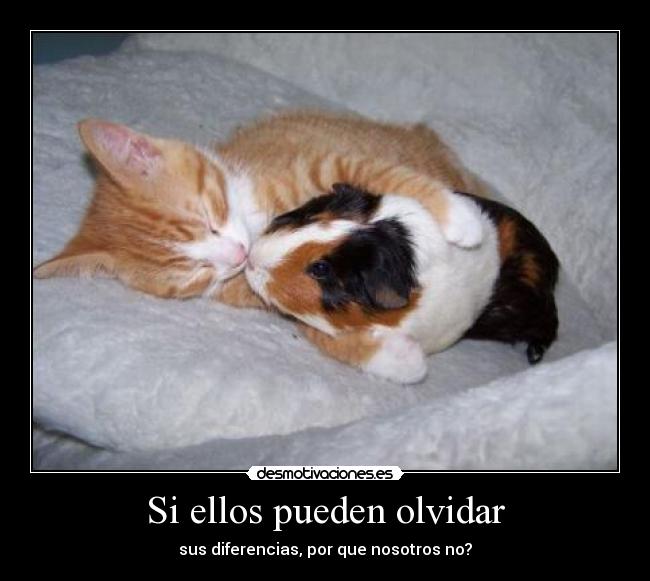 Si ellos pueden olvidar - 